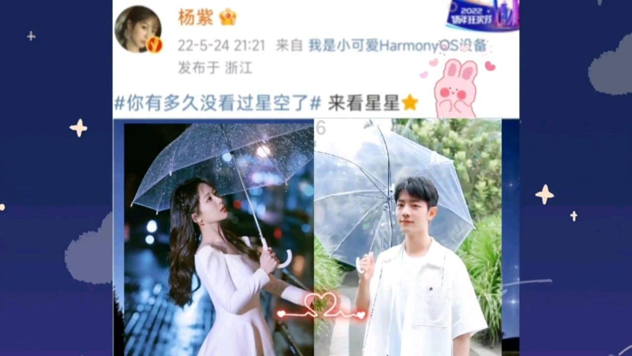 眼镜蛇秘密行动